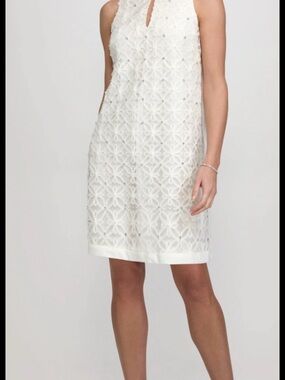 Laura Lace Overlay Sleeveless Shift Dress
